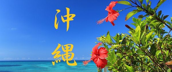 沖縄　海　紅い花